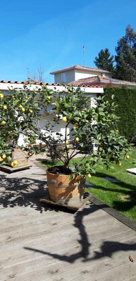 Chez Jeanfi Bed & Breakfast Fronsac  Luaran gambar