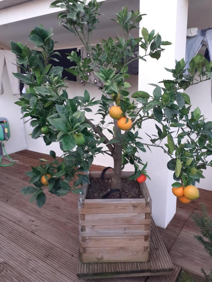 Chez Jeanfi Bed & Breakfast Fronsac  Luaran gambar